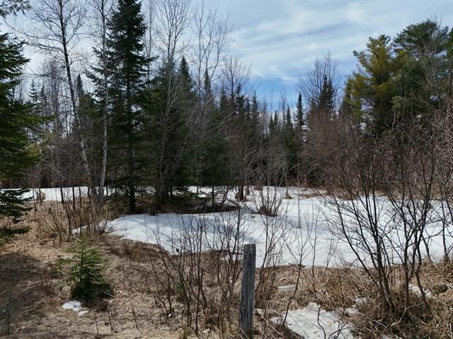 Terre/Terrain