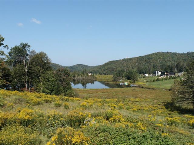 Vue sur l'eau