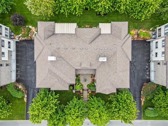 Overall View