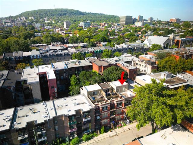 Vue