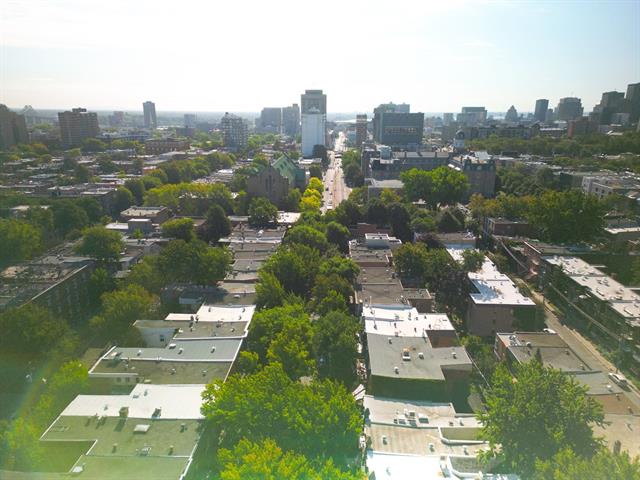 Vue