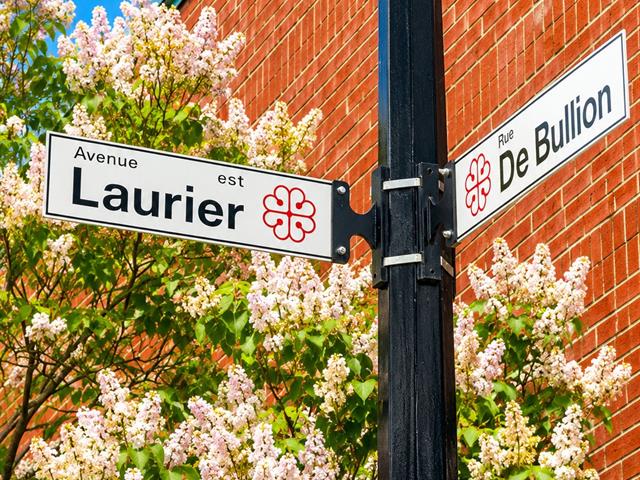 Rue