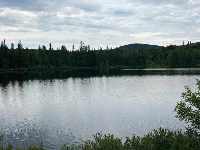 Bord de l'eau
