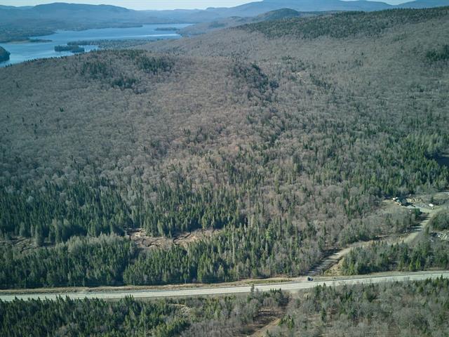 Terre/Terrain