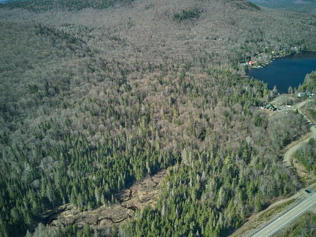 Terre/Terrain