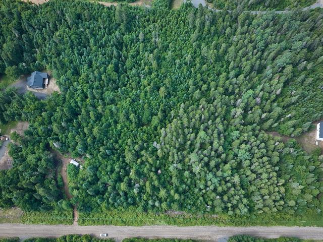 Terre/Terrain