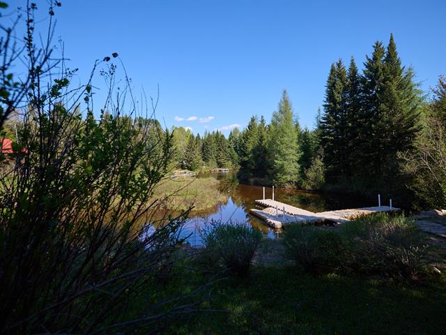 Bord de l'eau