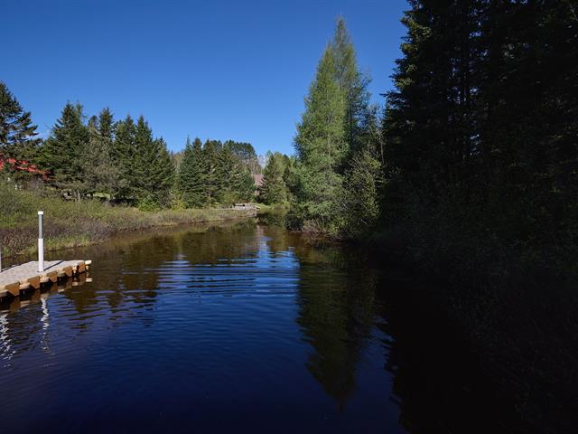 Bord de l'eau