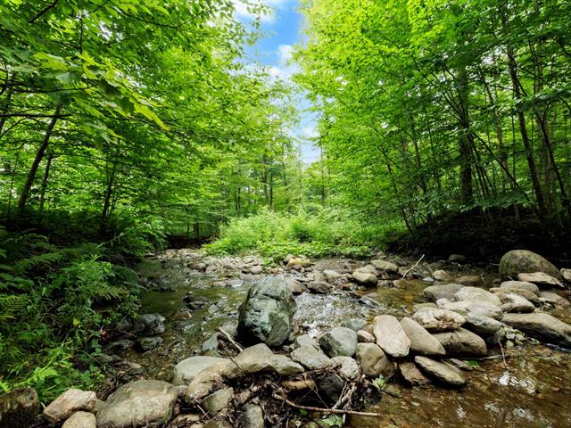 Accès au plan d'eau