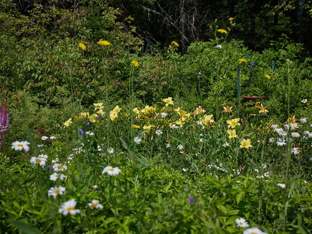 Jardin