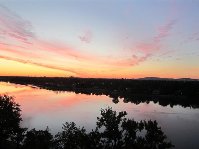 Vue