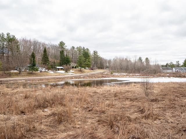 Overall View