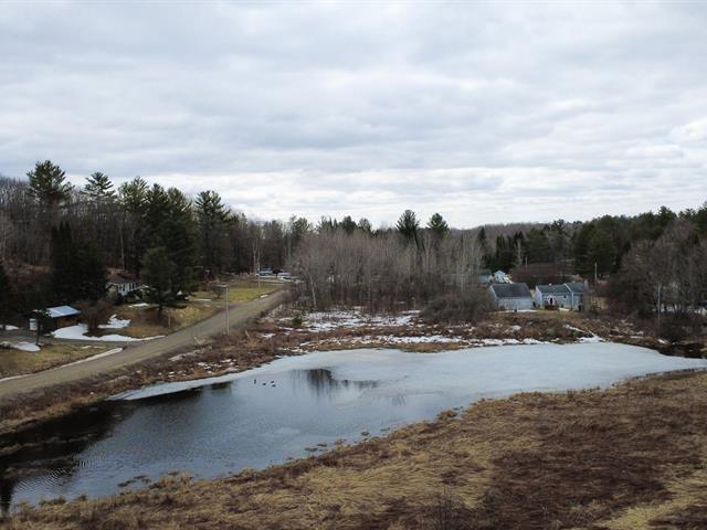 Overall View