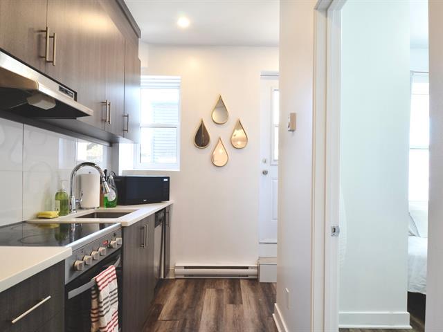 maison à vendre Montréal (Le Plateau-Mont-Royal)