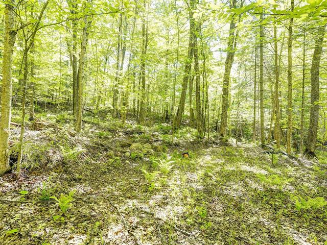 Terre/Terrain