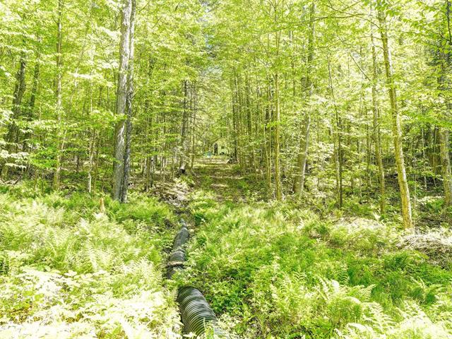 Terre/Terrain