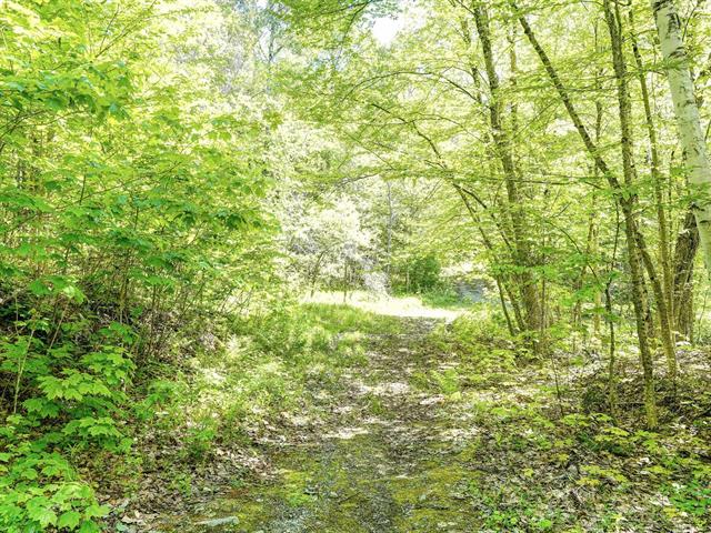 Terre/Terrain