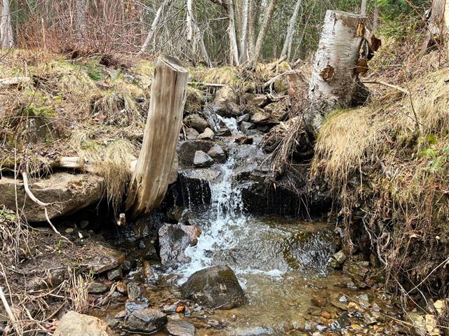 Terre/Terrain