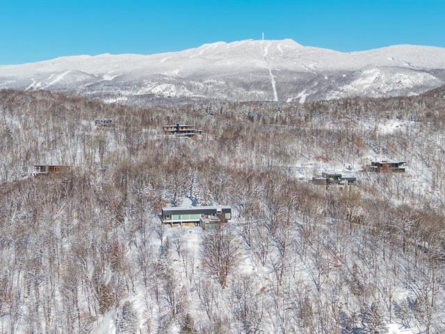 maison à vendre Mont-Tremblant