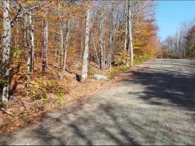 maison à vendre Wentworth