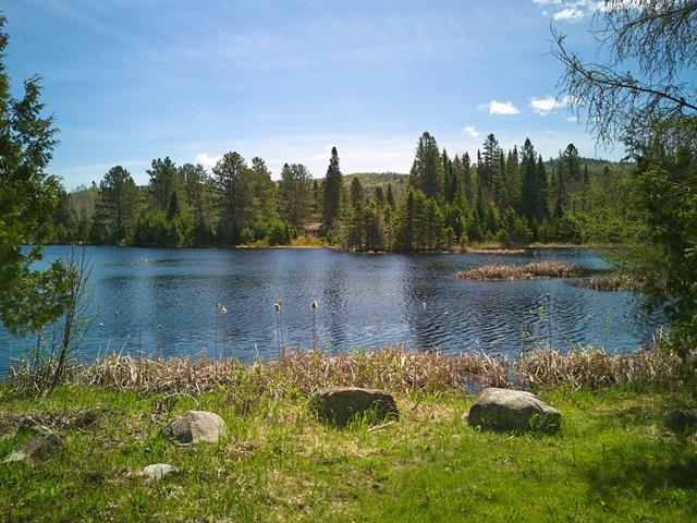 Bord de l'eau