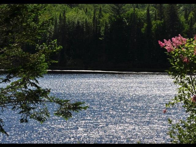 Bord de l'eau