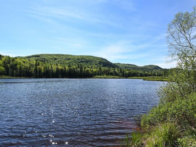 Vue sur l'eau
