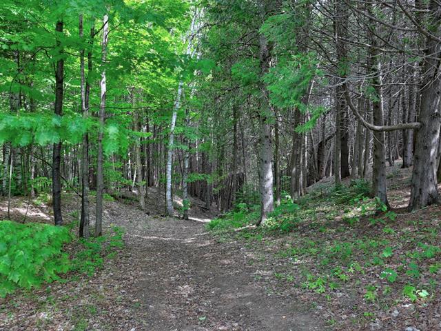 Terre/Terrain