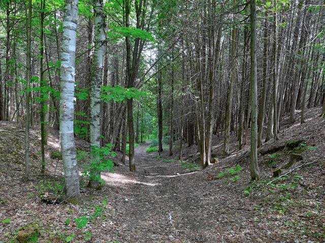 Terre/Terrain