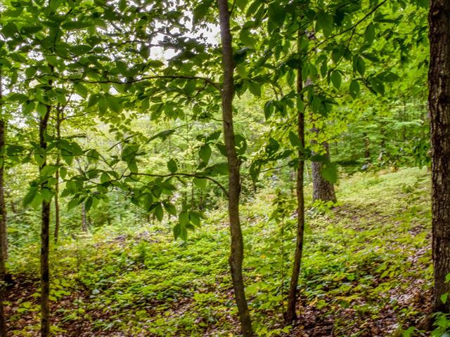 Terre/Terrain