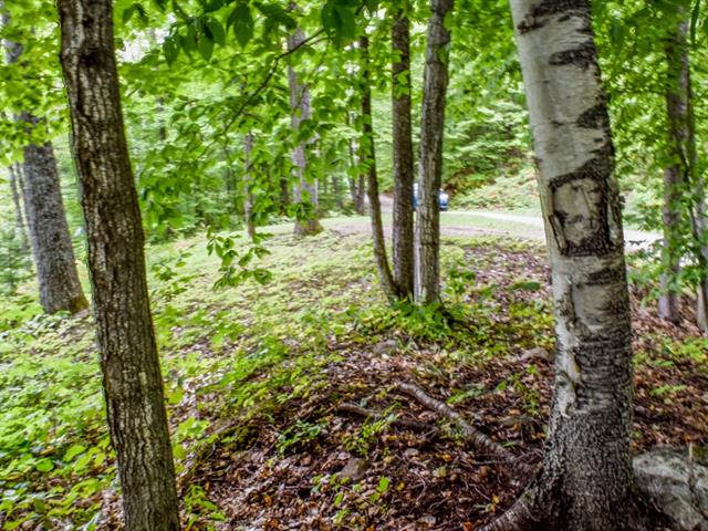 Terre/Terrain