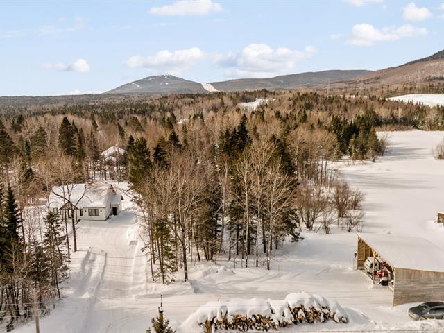 Overall View
