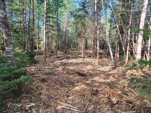Land/Lot