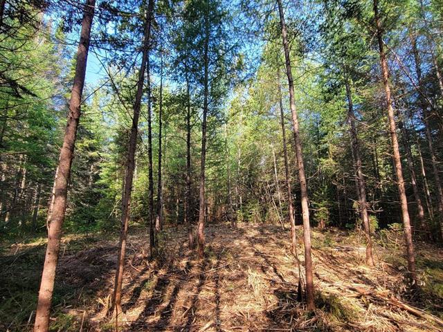 Land/Lot