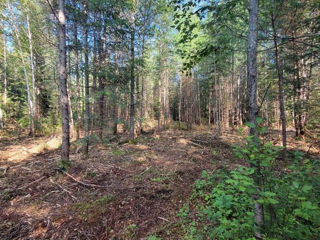 Land/Lot