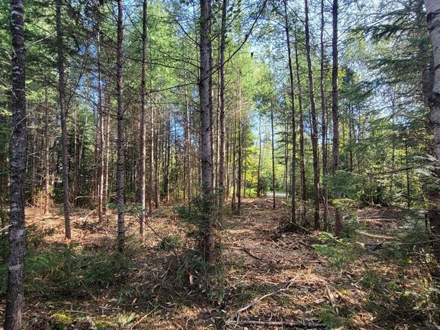 Land/Lot
