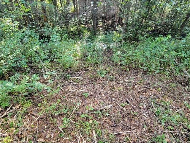 Land/Lot