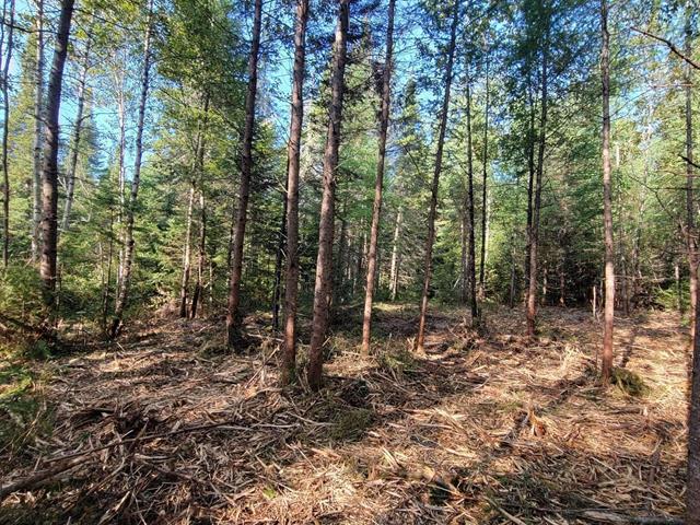 Land/Lot