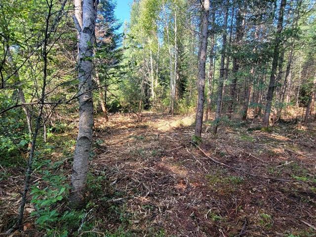 Land/Lot