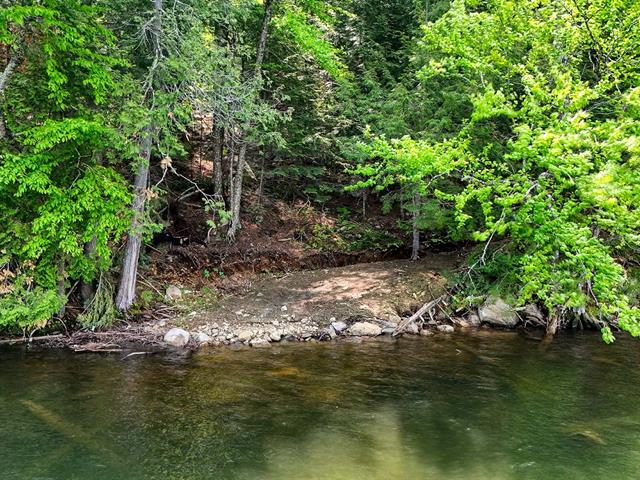 Bord de l'eau