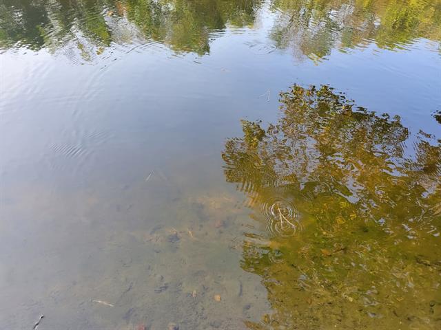 Bord de l'eau