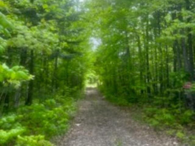 Accès au plan d'eau