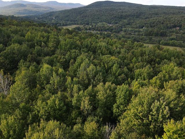 maison à vendre Potton