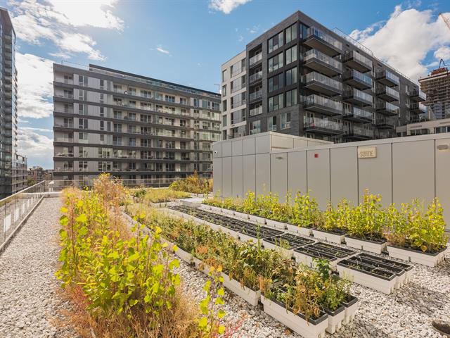 Condo à louer, Montréal (Ville-Marie)