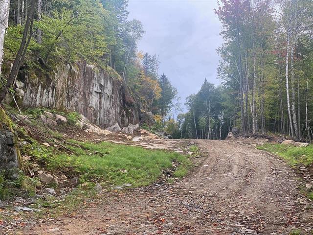 Terre/Terrain