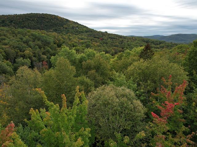 Vue d'ensemble