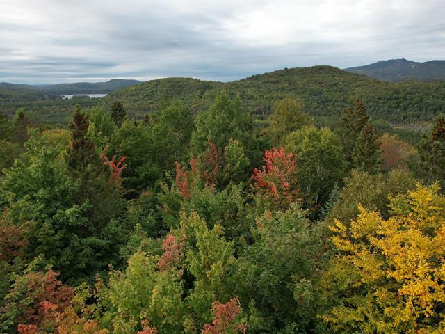 Vue d'ensemble