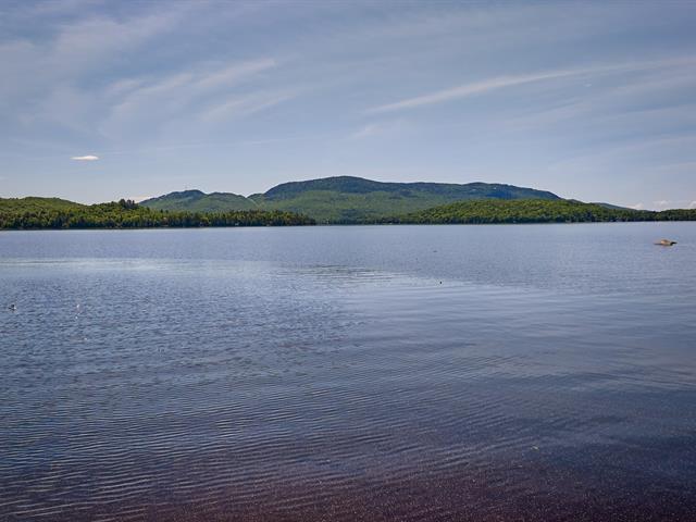Bord de l'eau