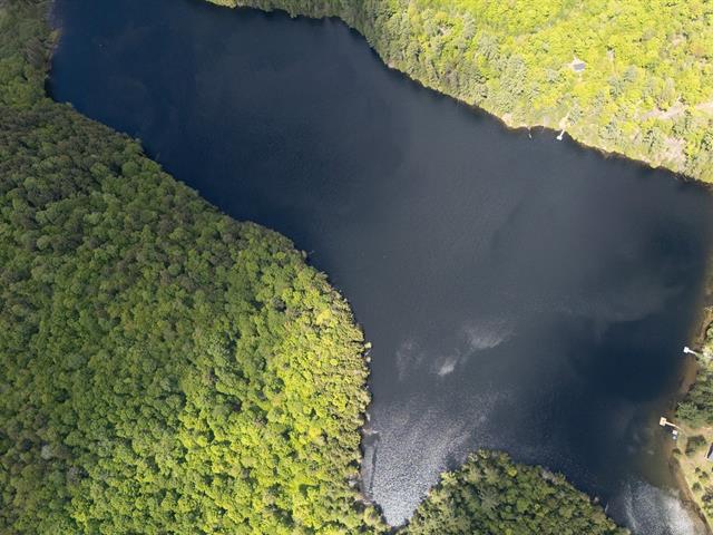 Vue sur l'eau