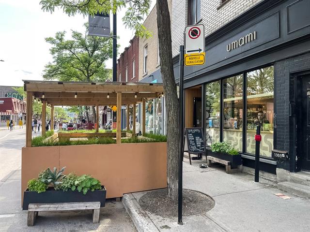 maison à vendre Montréal (Le Plateau-Mont-Royal)